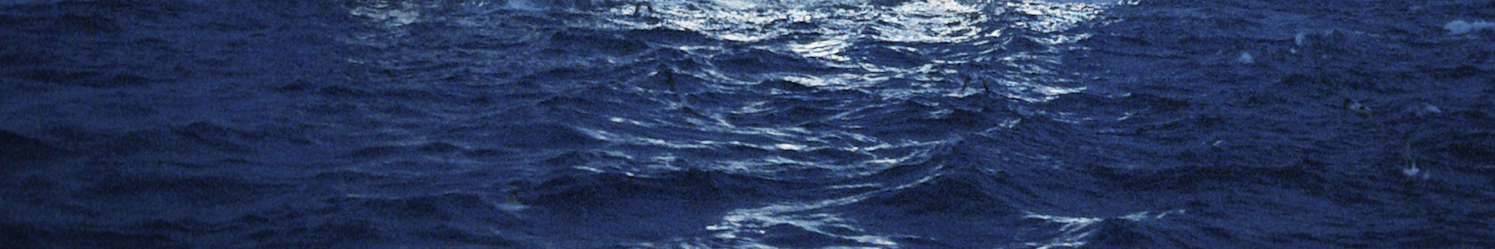 Send to the far-off 1999